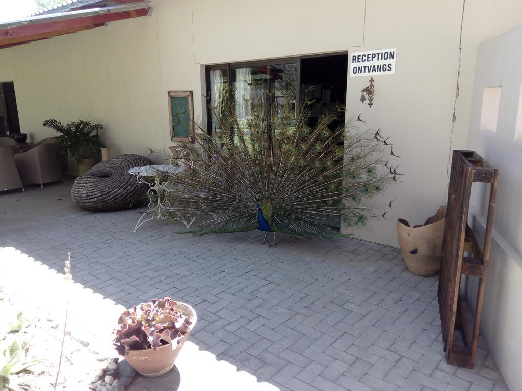 Hotel Xain Quaz Camp Gobabis Zewnętrze zdjęcie